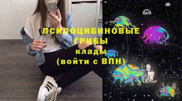 трава Дмитриев