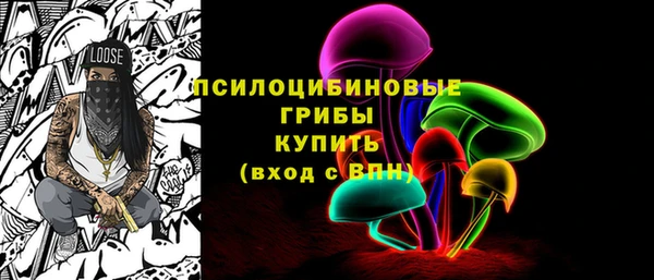 дурь Дмитровск