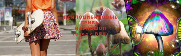 дурь Дмитровск