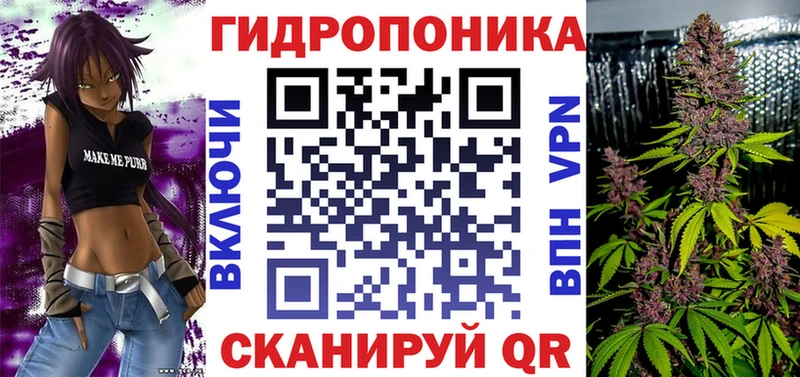 Купить  Фурманов  Конопля семена 